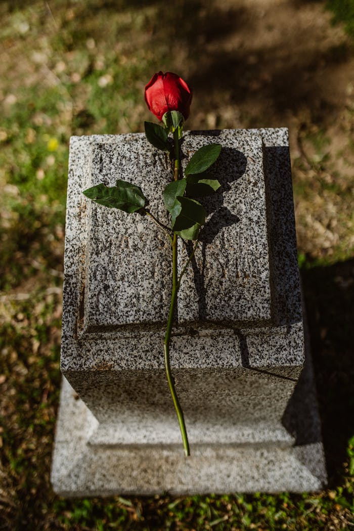 why-choose-us Lonely red rose atop a granite tombstone in an outdoor graveyard setting.